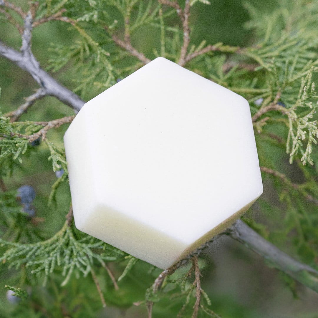 Edenwild Aire conditioner bar resting on green botanical foliage — natural solid conditioner bar with plant-based ingredients for hair moisture and shine