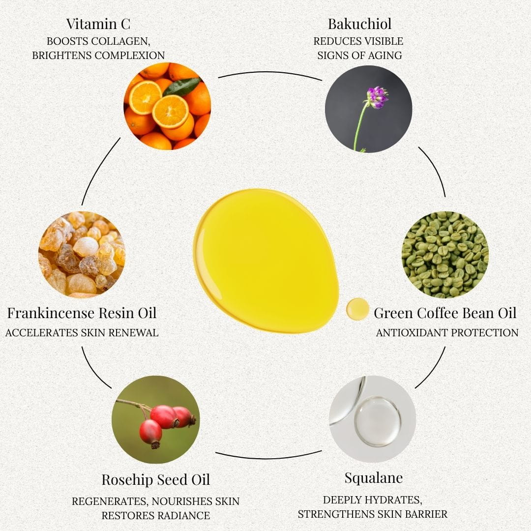 Edenwild facial serum key ingredients: Vitamin C for collagen and brightening, Bakuchiol to reduce signs of aging, Green Coffee Bean Oil for antioxidant protection, Squalane for deep hydration and skin barrier support, Rosehip Seed Oil for skin regeneration and radiance, and Frankincense Resin Oil for skin renewal