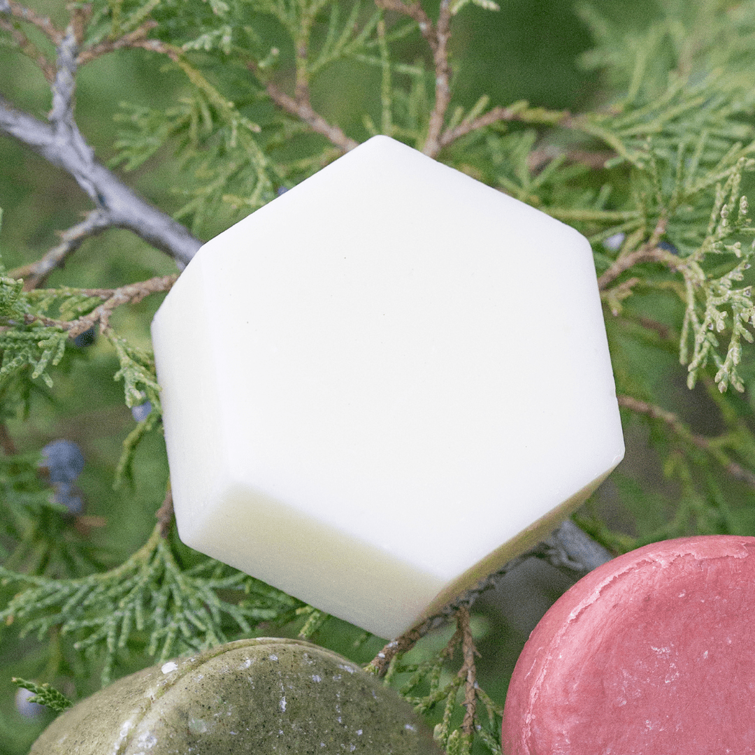 AIRE Conditioner Bar | Grapefruit + Bergamot for Detangling & Shine - EDENWILD