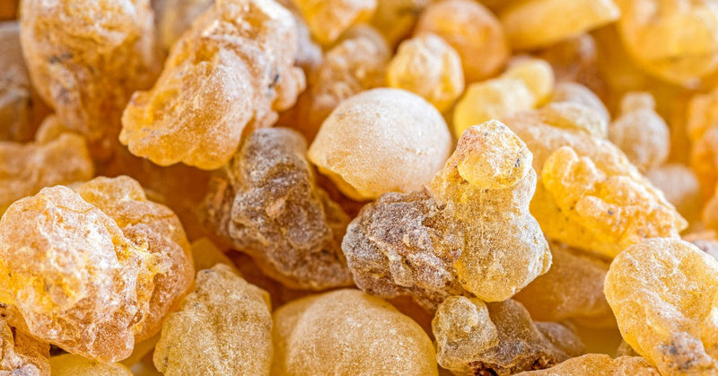 Close-up of golden frankincense resin used in Edenwild frankincense resin oil to help reduce inflammation and support sensitive skin
