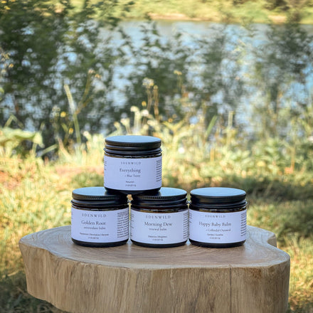 Four Edenwild tallow balms displayed on a wood stump outdoors — Everything Balm, Golden Root, Morning Dew, and Happy Baby Balm