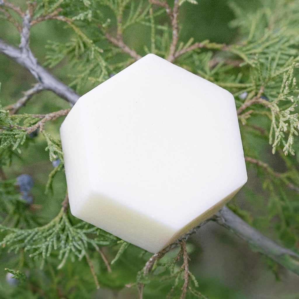 Edenwild Aire conditioner bar resting on green botanical foliage — natural solid conditioner bar with plant-based ingredients for hair moisture and shine
