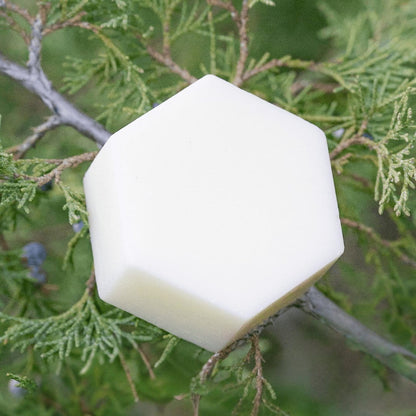 Edenwild Aire conditioner bar resting on green botanical foliage — natural solid conditioner bar with plant-based ingredients for hair moisture and shine