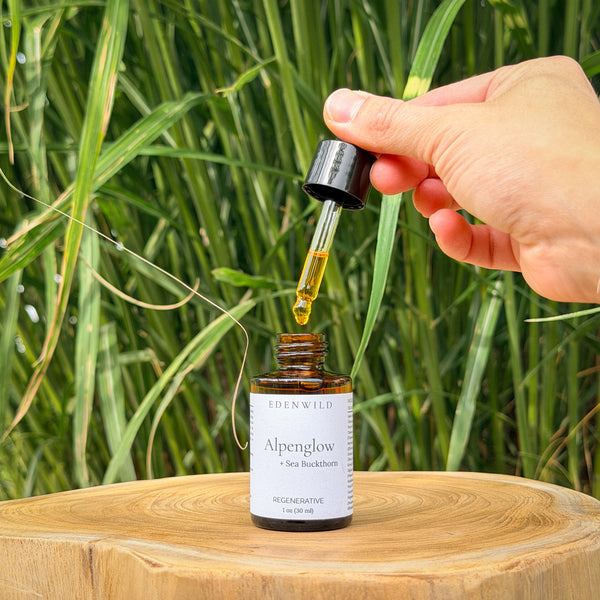 Edenwild Alpenglow sea buckthorn face serum golden oil drop — anti-aging ancestral natural ingredient skincare for skin barrier repair and radiance