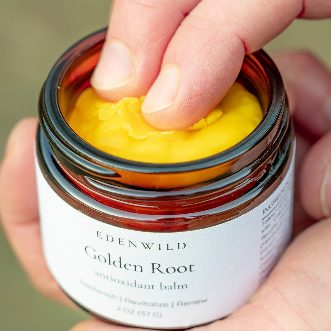 Hand scooping Edenwild Golden Root antioxidant balm — rich tallow balm with antioxidants for anti-aging, skin renewal, and deep nourishment