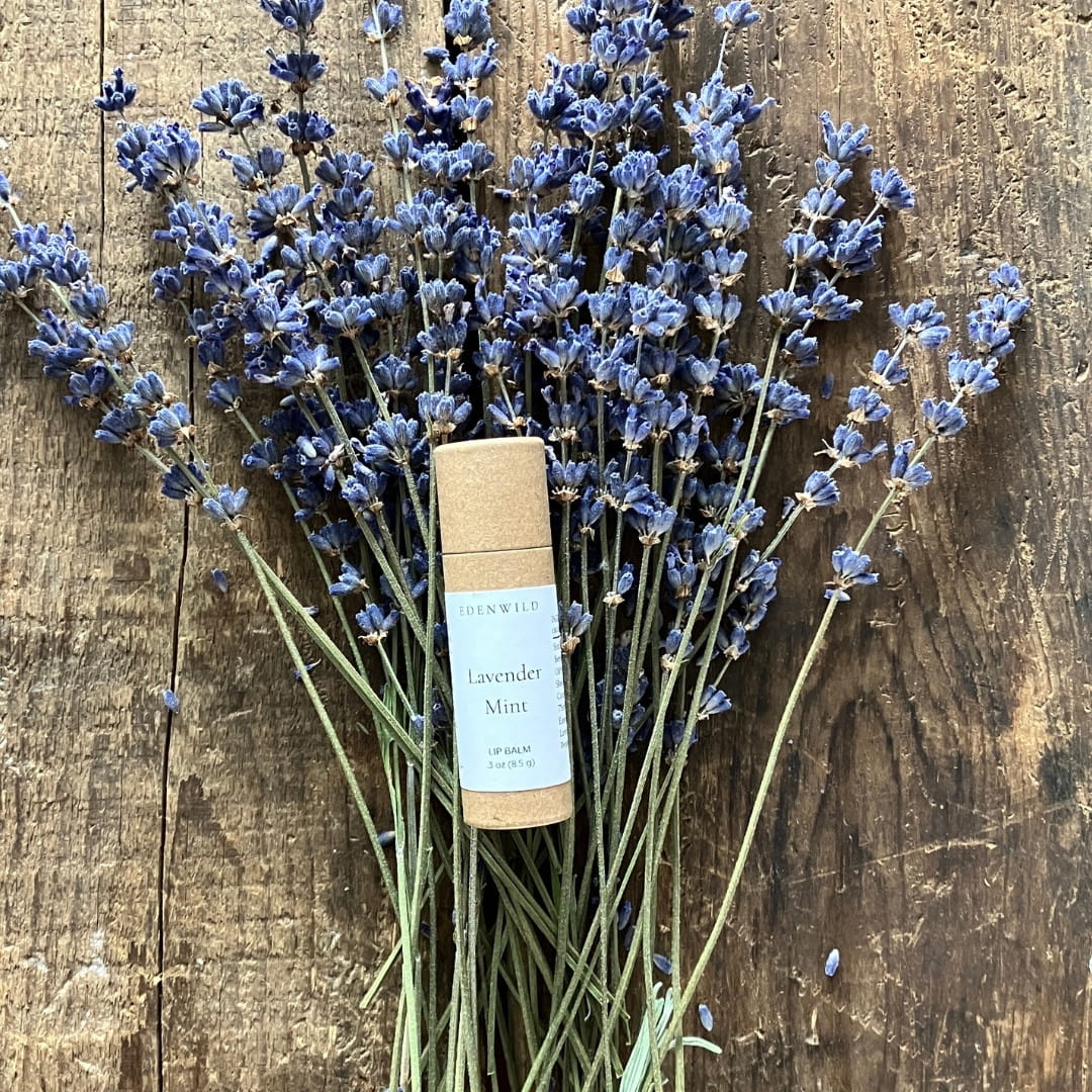 Edenwild Lavender lip balm tube resting against dried lavender stalks on rustic wood — botanical lip balm to nourish and protect dry lips