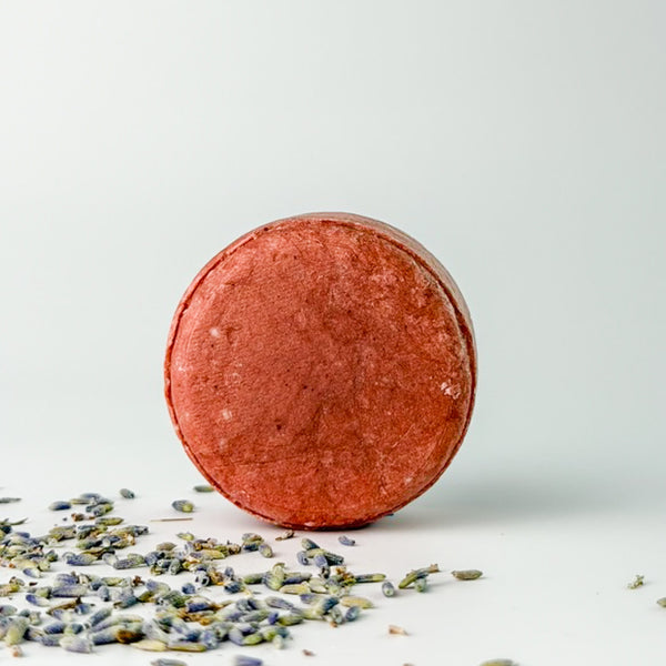 Edenwild Nourish shampoo bar on white surface with dried lavender — sulfate-free solid shampoo bar for dry, damaged hair and scalp nourishment