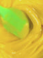 Golden Root Antioxidant Rich Tallow Balm