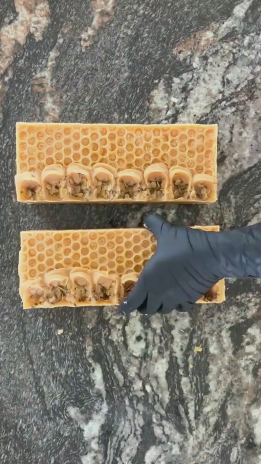 Honey Lemon Goat Milk + Colloidal Oatmeal Handmade Soap Bar