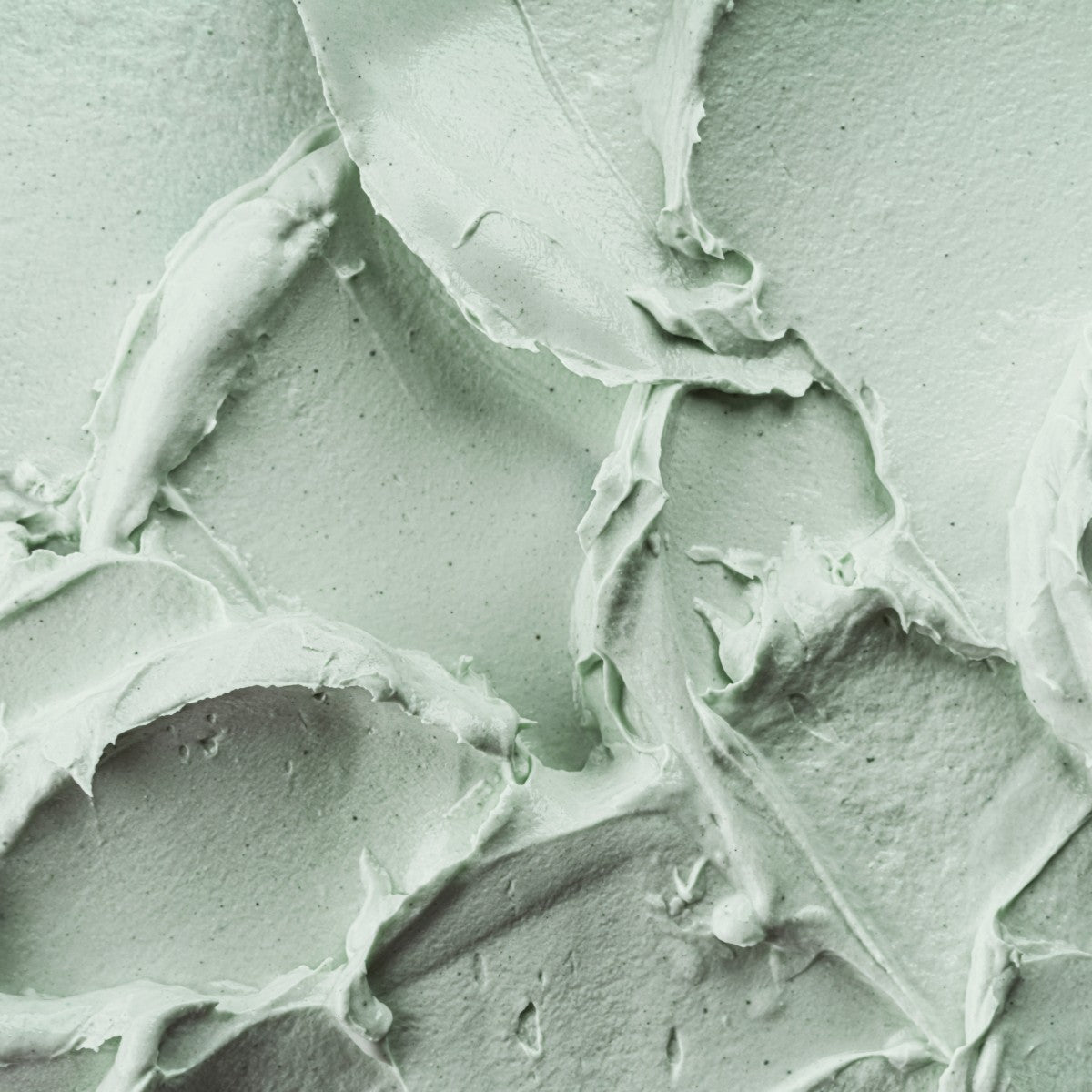 Everything + Blue Tansy Balm | Tallow + Botanicals for Eczema & Sensitive Skin